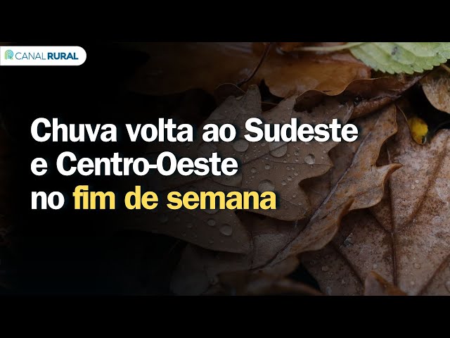 Previsão do tempo | Brasil 15 dias | Chuva volta ao Sudeste e Centro-Oeste no fim de semana