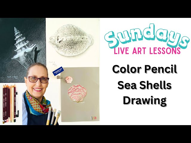 Color Pencils Sea Shells Drawing Tips and Tricks Live Art ✏️ #drawing #colorpencil #seashells