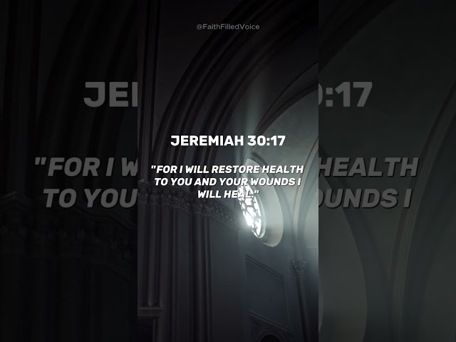 Healing Scriptures: Let God's Word Mend Your Heart