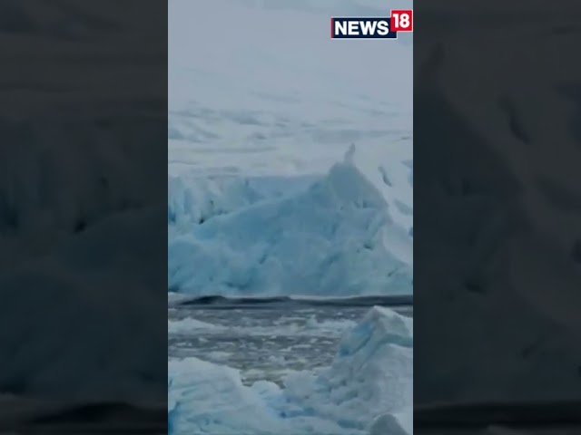 Shorts | Massive Calving As William Glacier Disintegrates In Antarctica | Viral Video | News18