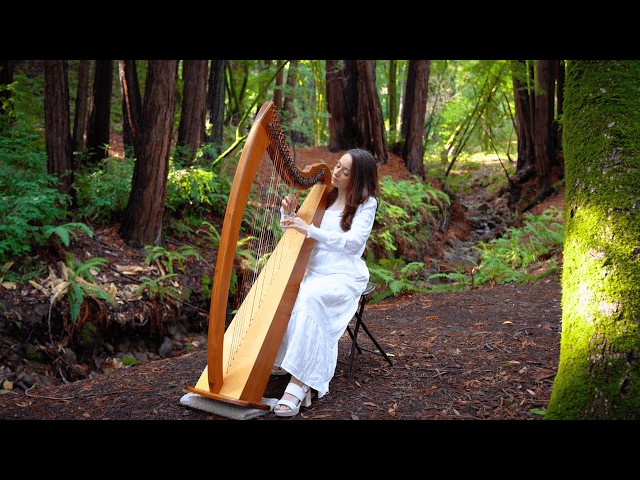 Heaven's Embrace: 1 Hour Soothing Harp Music and Nature Sounds