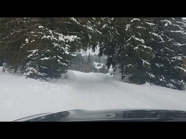 The road Feb 2019.. Lotsa snow this month