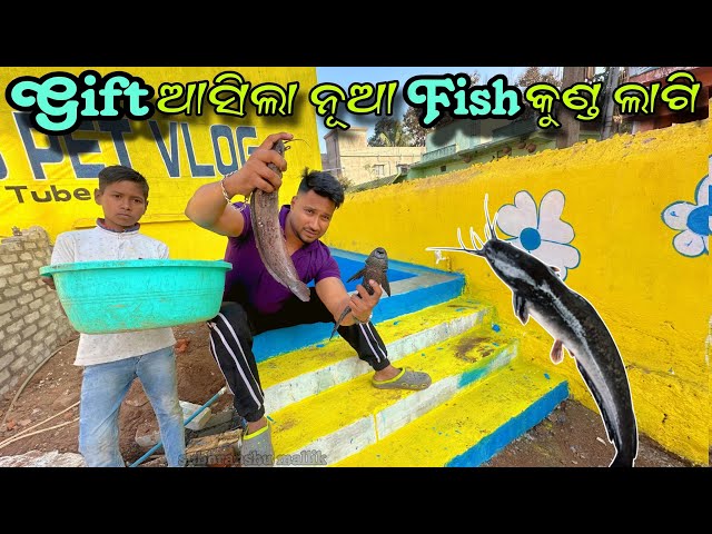 Gift Asila New Fish || Mini Zoo Odisha || Pitbul Dog || Labrador Dog || German Shepherd dog ||