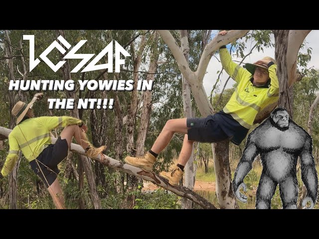 Yowie hunting in the NT Australia!