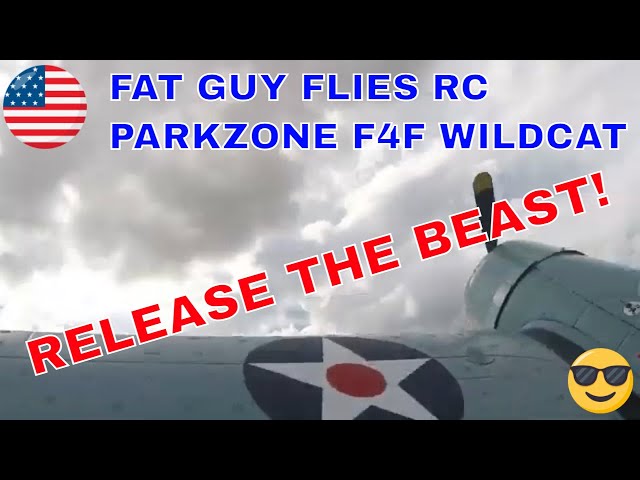 1 of Fat Guy's 1st videos-The Parkzone F4F Wildcat! Release the Beast!