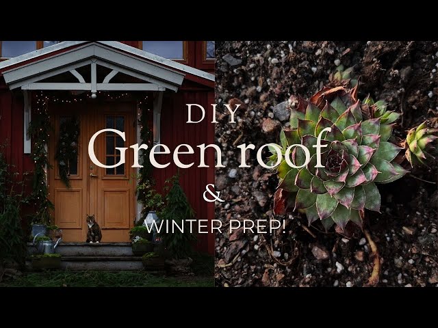 Installing a Green roof on our Canopy & Wrapping up Farm Projects before Winter is Coming