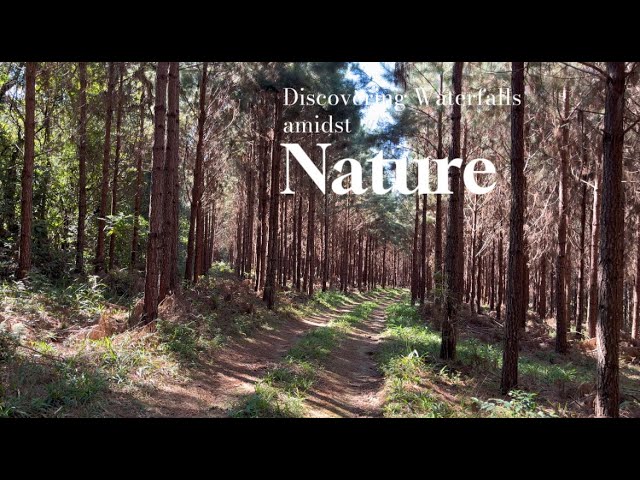 01 - FIRST VIDEO: Training My English: Discovering a Waterfall in the Heart of Nature