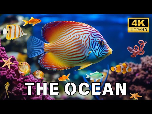 The Ocean (4K UltraHD)- Relaxation Film - Peaceful Relaxing Music - 4k Video UltraHD