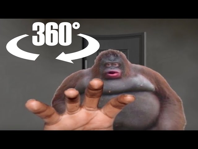 360° le monke breaks into your house and terrorizes you with his poop (ORIGINAL)