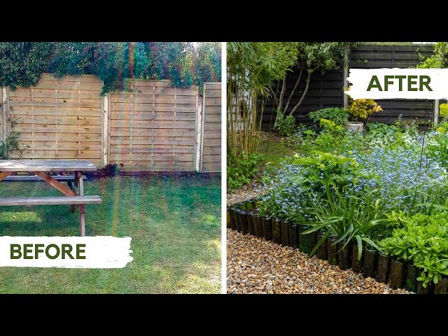 Start a garden from scratch - and on a budget!