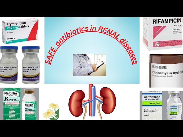 SAFE antibiotics in RENAL Disease