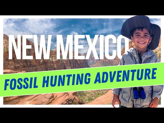 🌟 Join Us on an Epic Fossil Hunting Adventure in New Mexico! 🌟