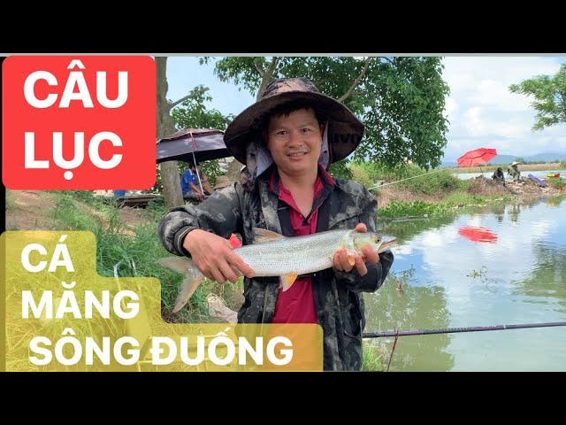 ĐÁNH LỤC ĐƯỢC CON CÁ MĂNG ĐẦU TIÊN Ở SÔNG ĐUỐNG#caucatunhien#fishing2024