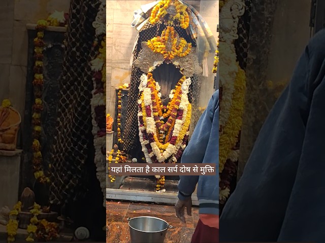 नाग वासुकी मंदिर प्रयागराज | चमत्कारी मंदिर जहाँ पाप कटते हैं और मनोकामनाएँ पूर्ण होती हैं! 🔱✨