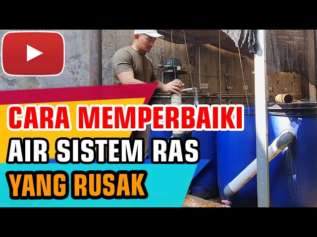 Analisa Air Sistem RAS yang Rusak - Budidaya Ikan Nila