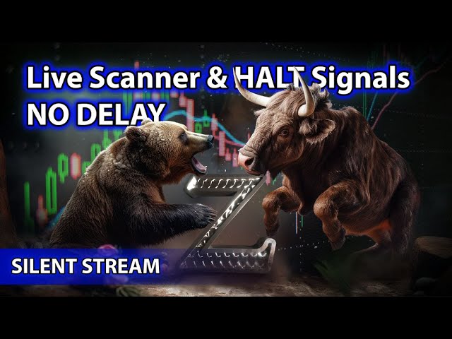 ​🌟Live Scanner  Stock Market scanner - Silent Stream (no-delay, voice only)  02/14/2025