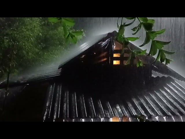 Heavy Rain and Thunder Sounds for Deep Sleep and Relaxation