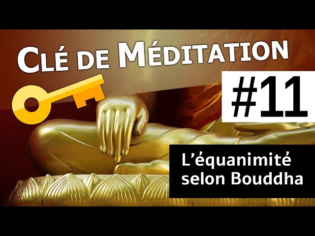 🔑 Clé de Méditation #11 : L'équanimité selon Bouddha