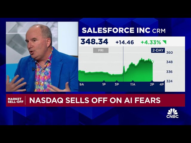 The DeepSeek panic sell-off is a golden buying opportunity for Nvidia, says Wedbush's Dan Ives