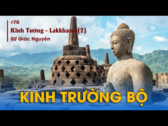 KINH TRƯỜNG BỘ - Bài 70 - || Sư Giác Nguyên #kinhtuongung #sugiacnguyen #sưtoạikhanh