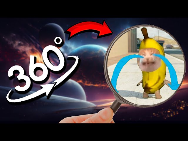 Find Banana Cat Crying & Running Meme | Banana Cat Finding Challenge 360º VR Video