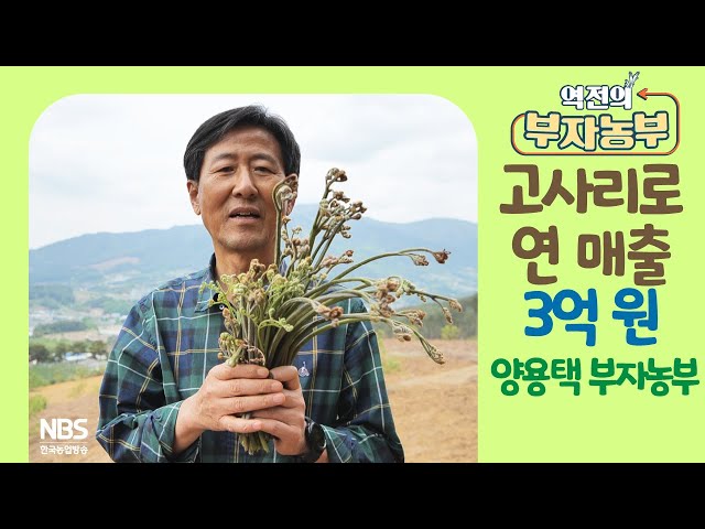 [역전의부자농부 249회] 고사리로 연 매출 3억 원! 전북 남원 양용택 부자농부