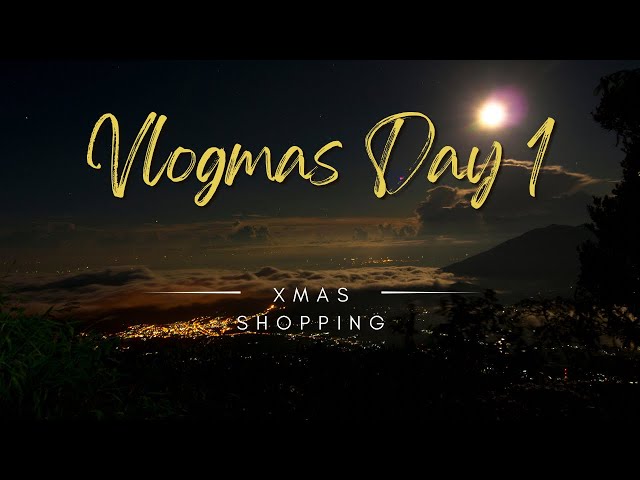 Vlogmas Day 1 | Black Friday Shopping! Walmart | Target | Five & Below