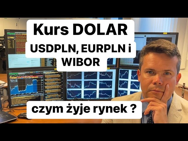 Dollar, USD/PLN, EUR/PLN and Wibor exchange rates. What Lives the Market?