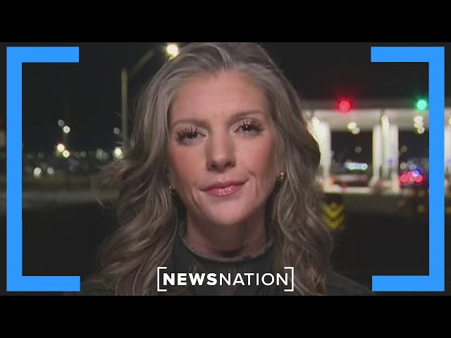 Border agents say they ‘can finally do their job’: Ali Bradley | Dan Abrams Live