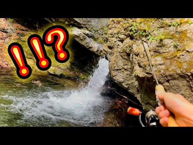 滝壺にルアーを落としてみると... / When I dropped the lure in the waterfall jar...