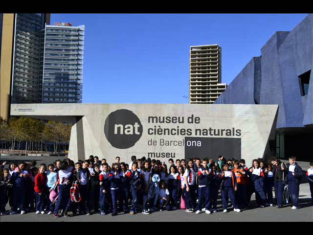 Excursió Museu Blau