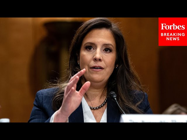 Elise Stefanik Details How She'll Hold Accountable UN Members With Abysmal Human Rights Records