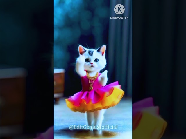 "🐱💃 Funny Cat Dance | Cute & Hilarious Moves! 🎶🤣" #cat #0080 #catlover