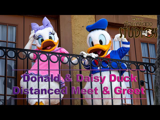 8K Donald & Daisy Duck in Disney's Hollywood Studios VR180 3D