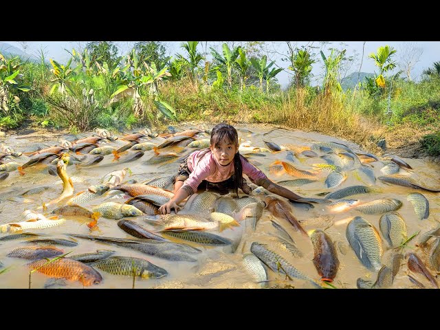 Giant Fish Catching Technique: Poor Girl Happy to Catch Many Giant Fish and Go to Market Sell