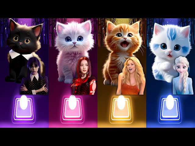 CUTE CATS - LADY GAGA BLOODY MARY - SHAKIRA WAKA WAKA - JISOO FLOWER - CUPID