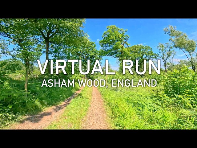 Virtual Run | Asham Wood and Quarry, England | Treadmill Running Scenery