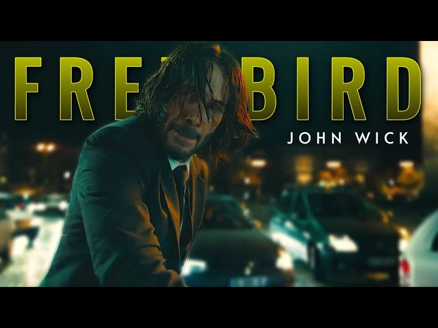 John Wick || Free Bird