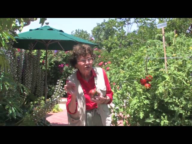 Learn How To Grow Tomatoes with Pat Welsh