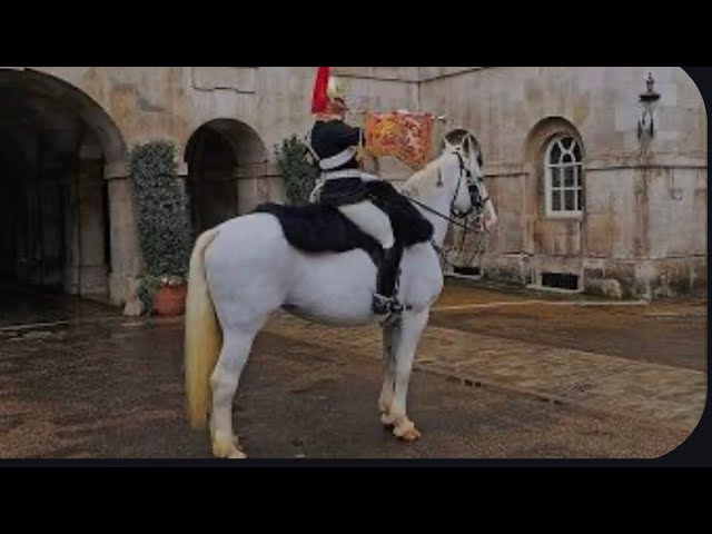 TRUMP MAN ON A WHITE HORSE VS KING CHARLES WHITE HORSE