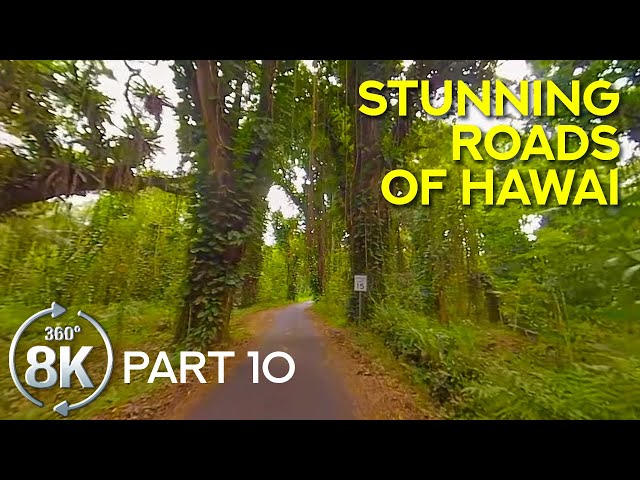 8K Stunning Roads of the Big Island, Hawaii - Virtual 360˚ Scenic Drive on a Tropical Island - #10