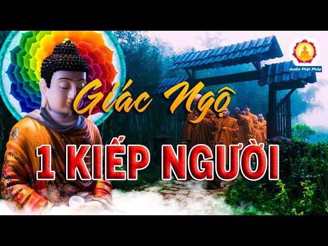 Mỗi Đêm Nghe Lời Phật Dạy Giác Ngộ Ngủ Ngon "Đời Người Khổ Lắm Ai Ơi, Không Tu Uổn Phí 1 Kiếp Người"