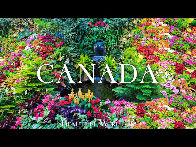 Canada 4K Spring Awakens - Blooming Forests and Lakes - Calming Piano Music (4K UHD)