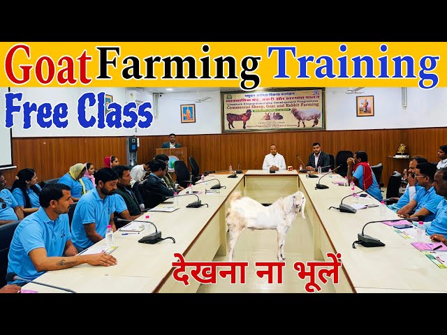 Free Class🤩 बकरी पालन Training // Farming Tips #goat #farming #training