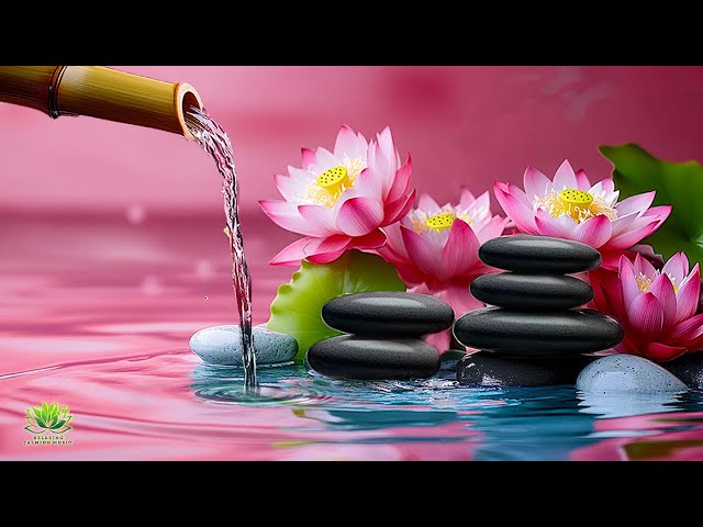 Relaxing Music Piano, Stress Relief Music, Water Sounds, Bamboo, Calming, Meditation, Nature Sounds