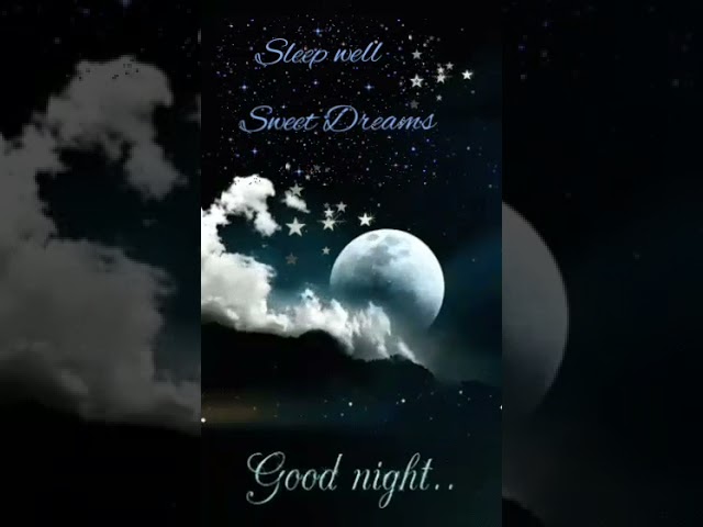 Good Night Sleep well Wishes | Sweet Dreams | Status Video | shinis style