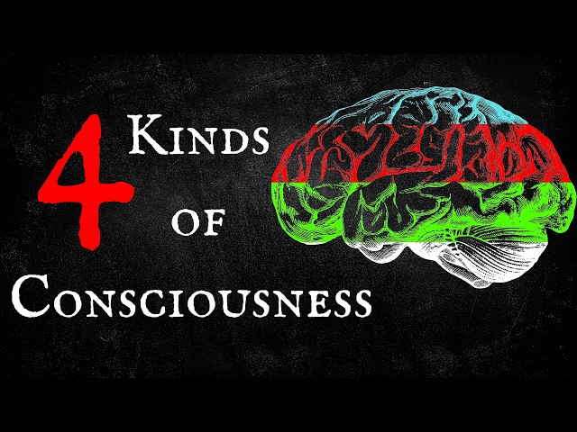 The 4 Kinds of Consciousness You Didn’t Know About