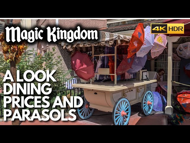 Magic Kingdom Disney World 2023