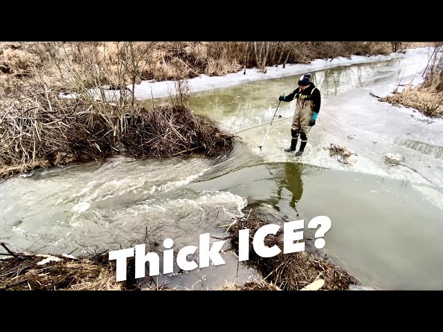 Very Tough Beaver Dam Removal!