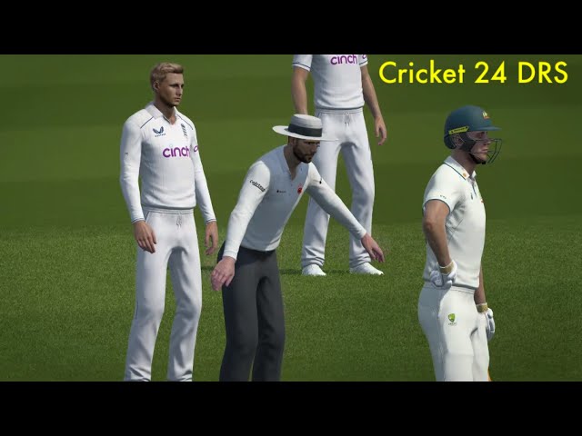 Cricket 24 DRS Umpire decision reversed